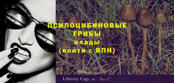 герыч Алексин